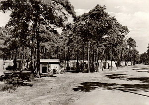 Senftenberg